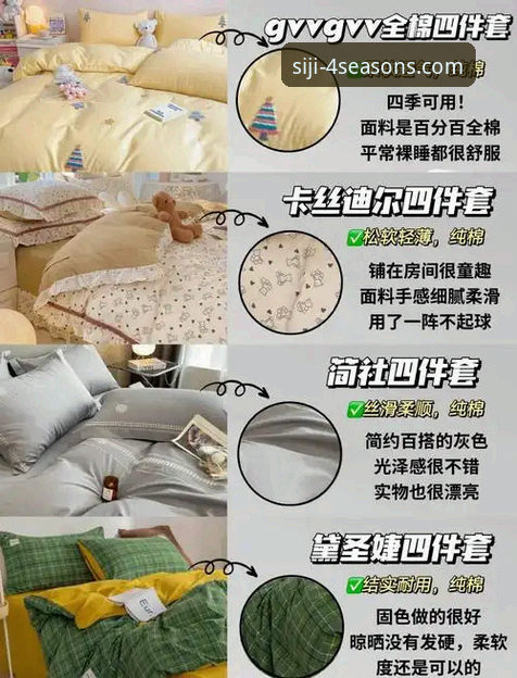 四季好用吗 四季官方安装实用指南:从下载到注册的必备知识